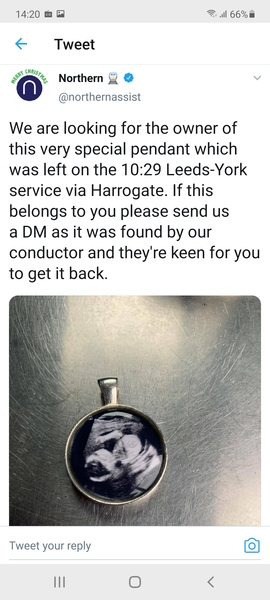 Possibly reunite the owner of this pendant?