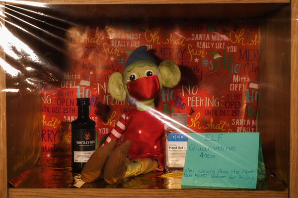 ELF ON THE SHELF :)