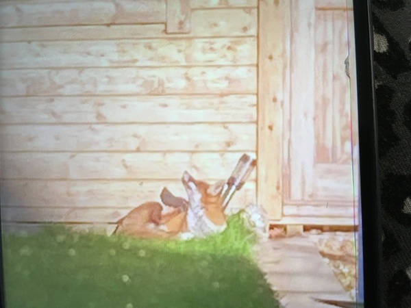 Facemasks on for a trip to the Bluestocking