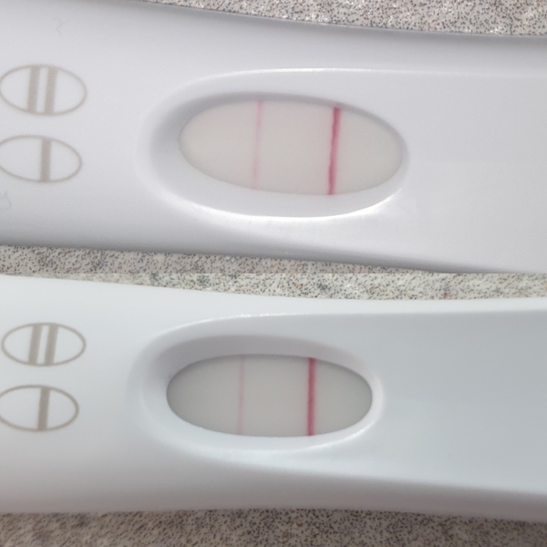 FRER detecting previous pregnancy?
