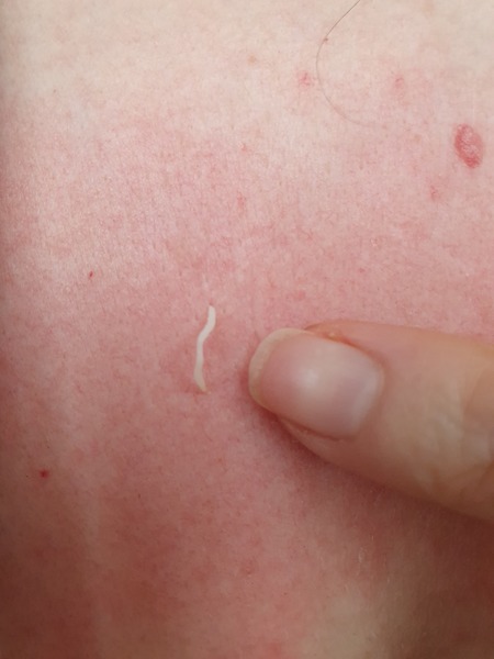 It just kept going!  (with pics)