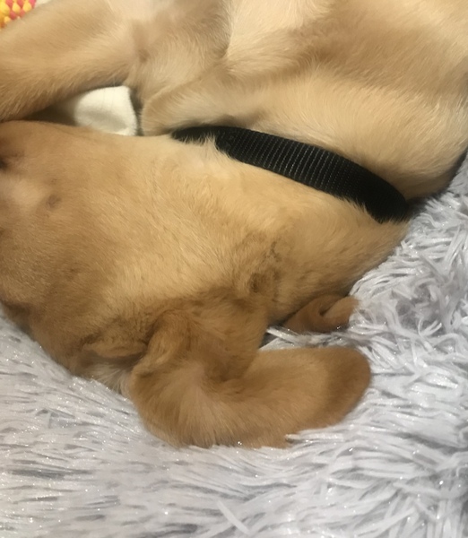 Les Parisiennes de Mamansnet: L'enfer c'est les Autres