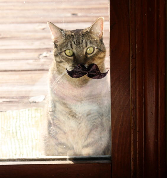 Mil standing at window