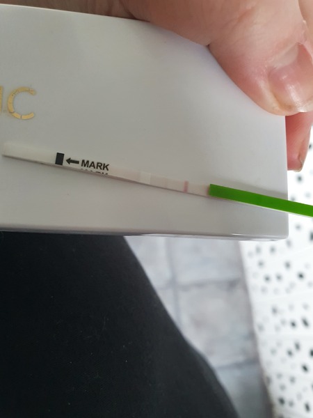 Faint Positive ovulation test day of due period