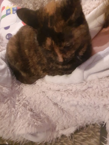I can’t change the duvet cover can I?