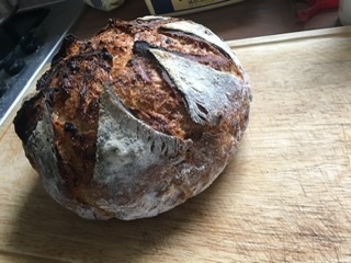 sourdough help- please!