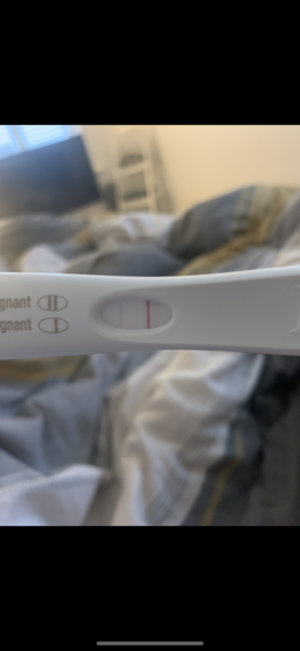 Late July/August due date