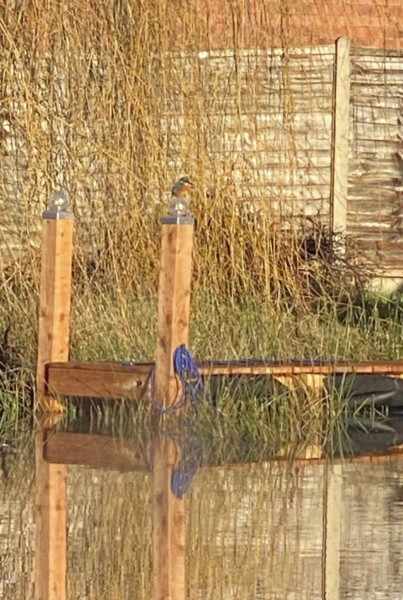 NOT what I expected to wake up to this morning...