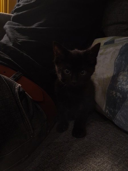 So I found something in my shed this morning...