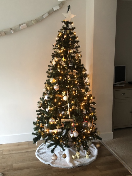 Get your trees out!!!!!
