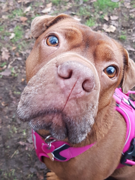 May I shamelessly post a photo of my gorgeous girl?