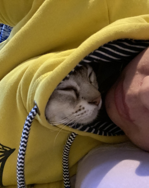 Have you ever seen a cosier cat?