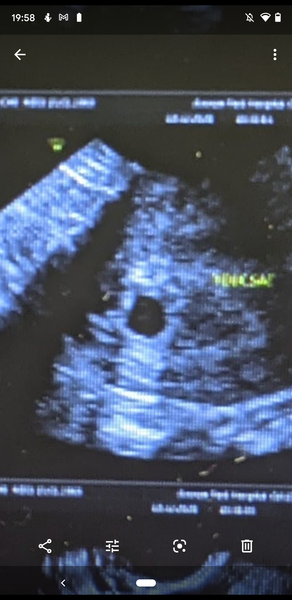 August '21 Due Dates