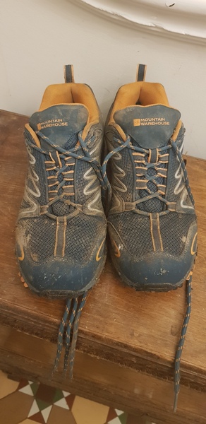 Waterproof walking shoes/trainers recommendations