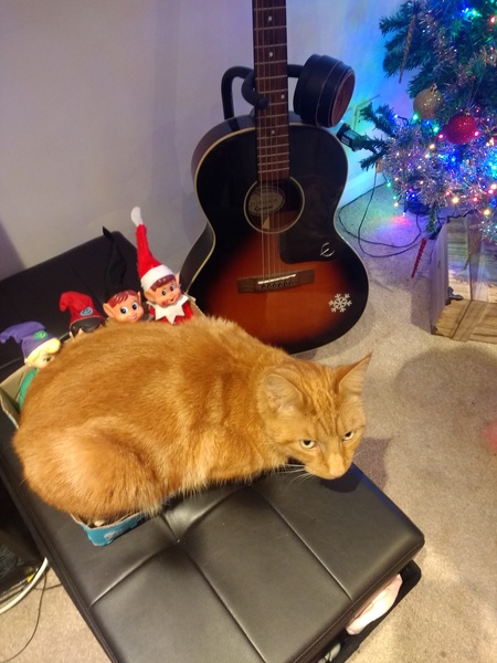 What's your DCat up to today? (Thread 8)