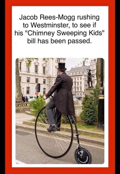 Westministenders: A Turkey for Christmas?