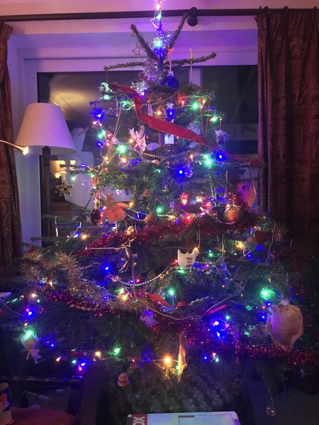 How many fairy lights do you put on your 6 foot tree?