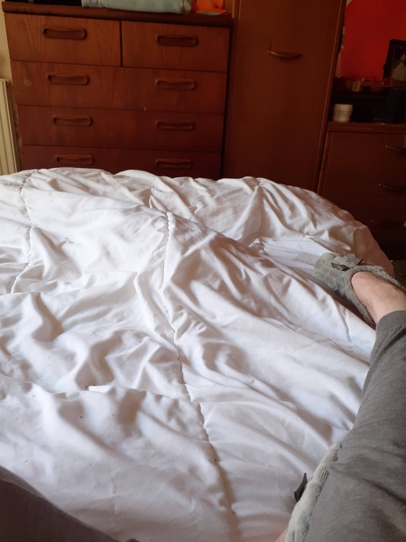 Have you ever seen a cosier cat?