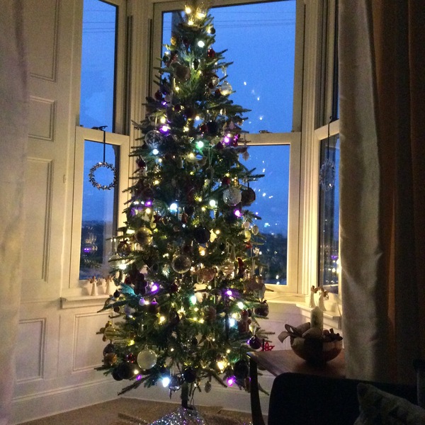 Coloured lights next year???