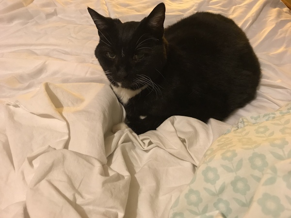 I can’t change the duvet cover can I?