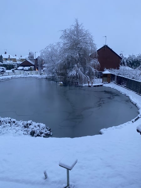 NOT what I expected to wake up to this morning...