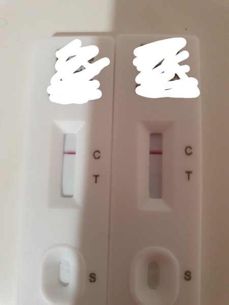 Lateral flow tests do they work?