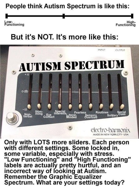To wonder why the f* people still think vaccines cause autism?