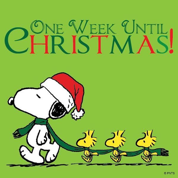 LOSE IT! December 2020