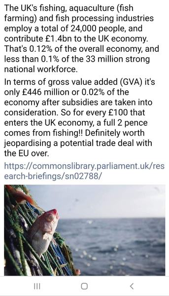 Westministenders: A Turkey for Christmas?