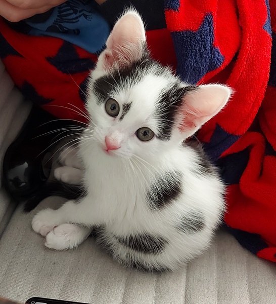 Support For Anyone After The Loss Of A Parent.