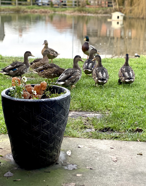 NOT what I expected to wake up to this morning...