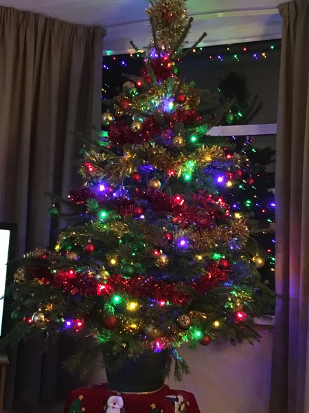 Coloured lights next year???