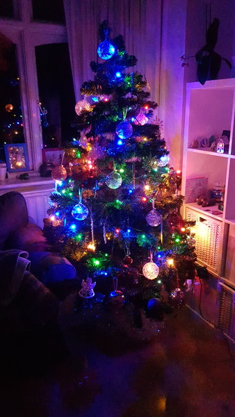 Get your trees out!!!!!