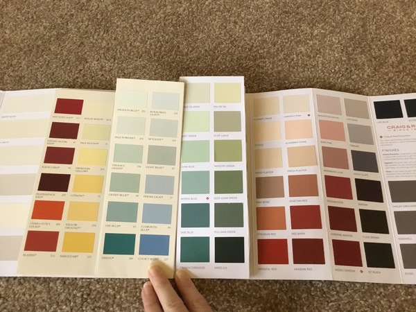 Paint Colour advice