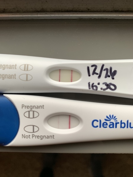 Pregnancy Test Line, Please Help!
