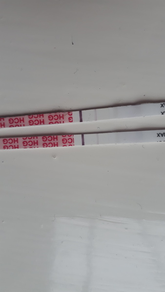 Can i see progression pregnancy tests x