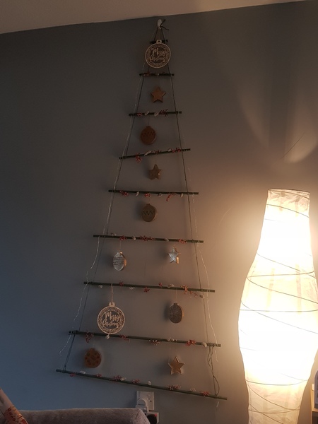 Top tips for Christmas trees with cats