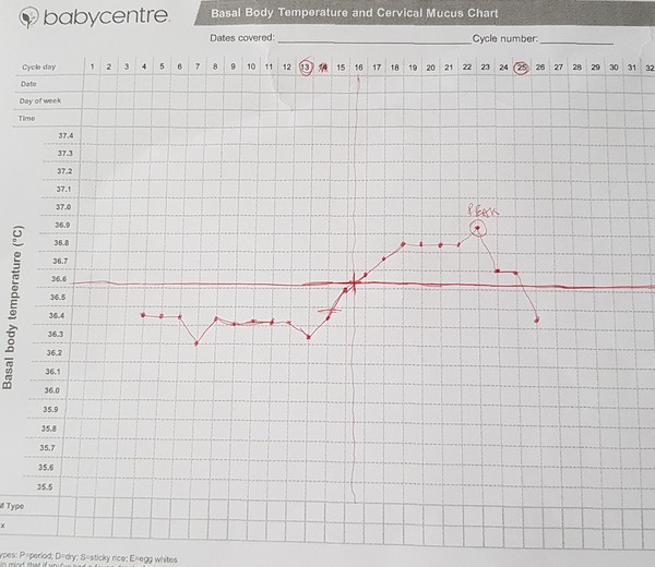 Charting