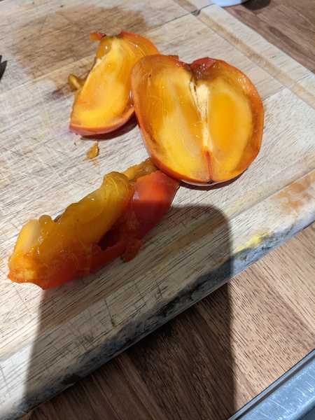 Please explain persimmon to me
