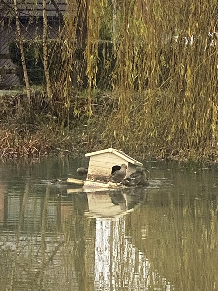 NOT what I expected to wake up to this morning...