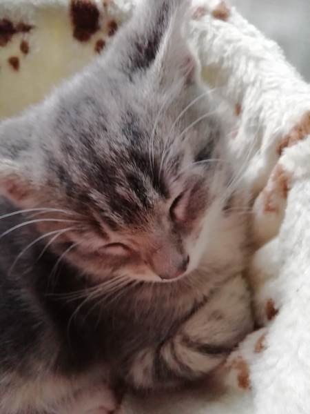 I need a name!