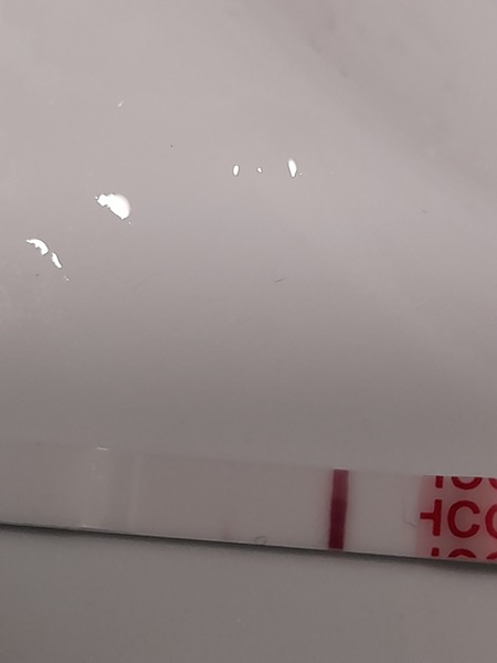 TTC after ectopic pregnancy