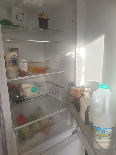 Show me your Christmas fridges!