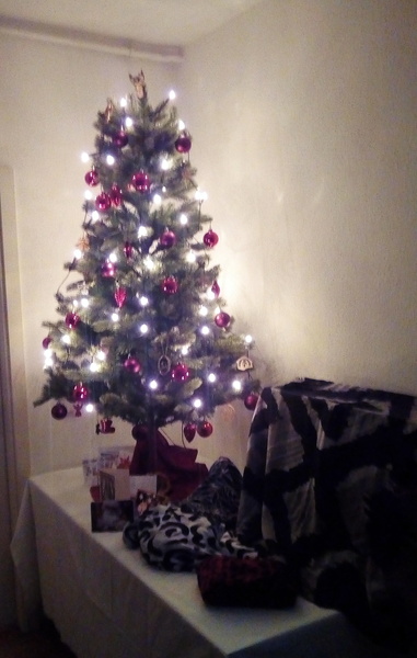 Get your trees out!!!!!