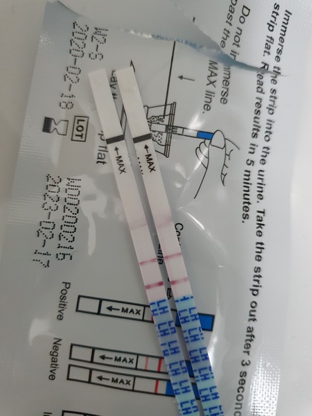 TTC after a chemical pregnancy / early miscarriage