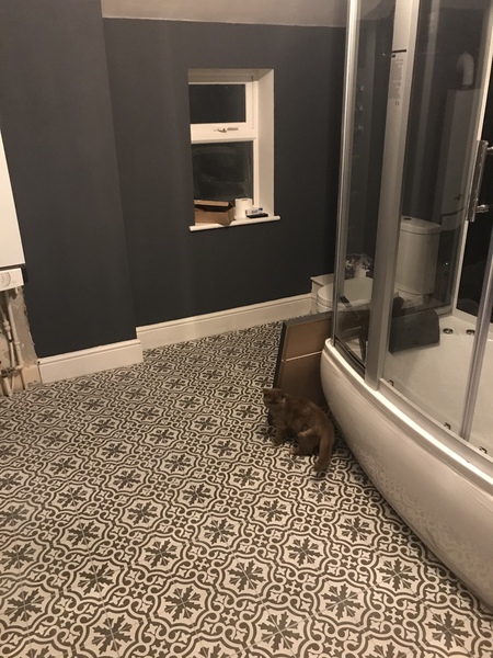 Black and white bathroom