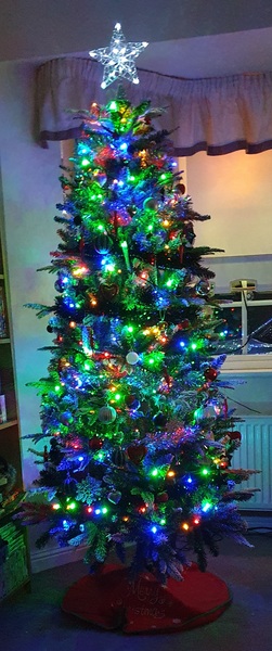 Coloured lights next year???