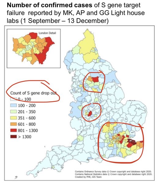 Location of the new strain