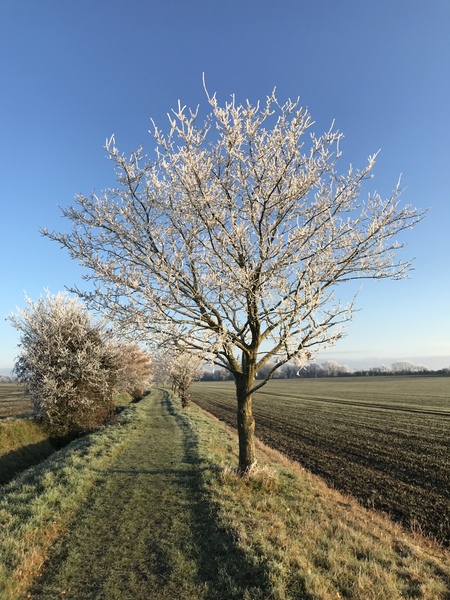 Running Thread 16