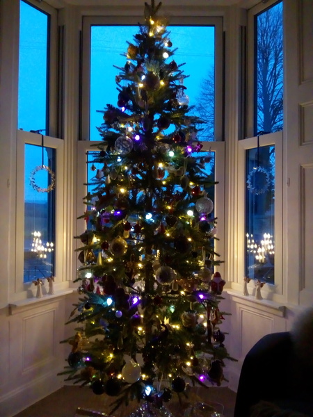 Get your trees out!!!!!